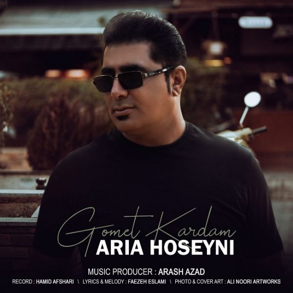 دانلود آهنگ گمت کردم از آریا حسینی