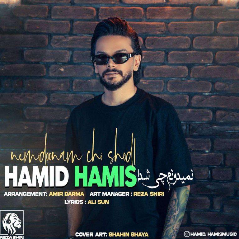 دانلود آهنگ نمی‌دونم چی شد از حمید هامیس