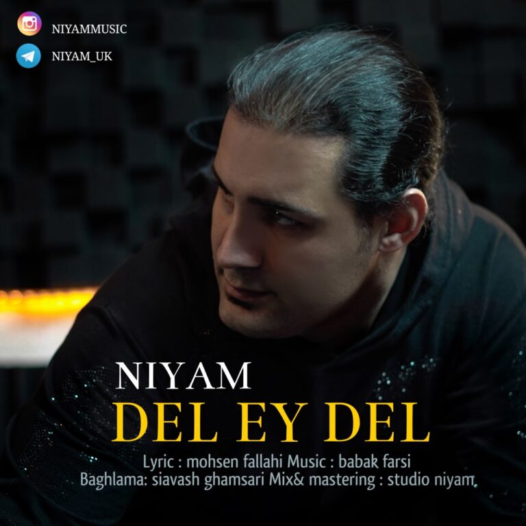 دانلود آهنگ دل ای دل از نیام