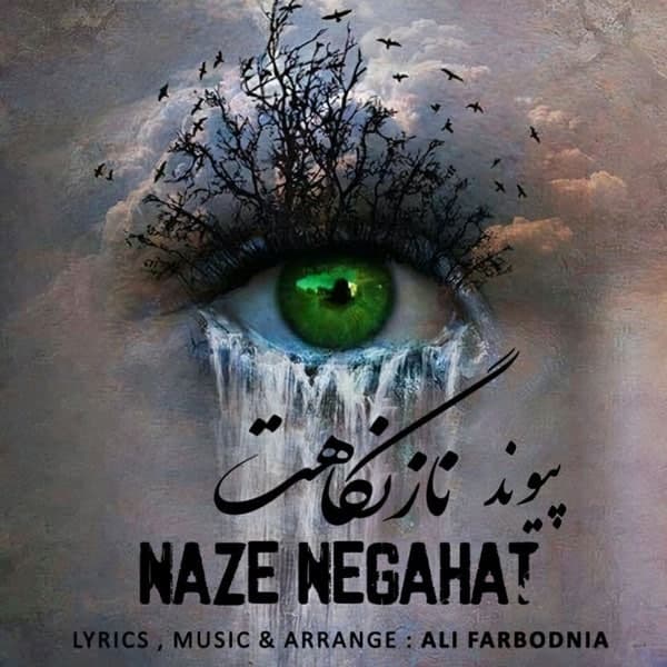 دانلود آهنگ ناز نگاهت از پیوند