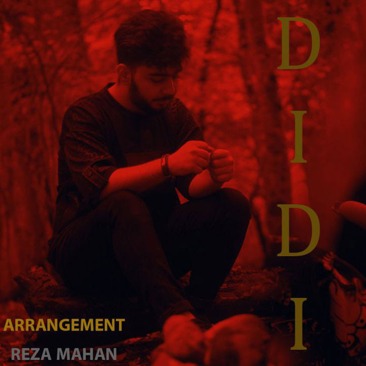 دانلود آهنگ دیدی از رضا کوشکی