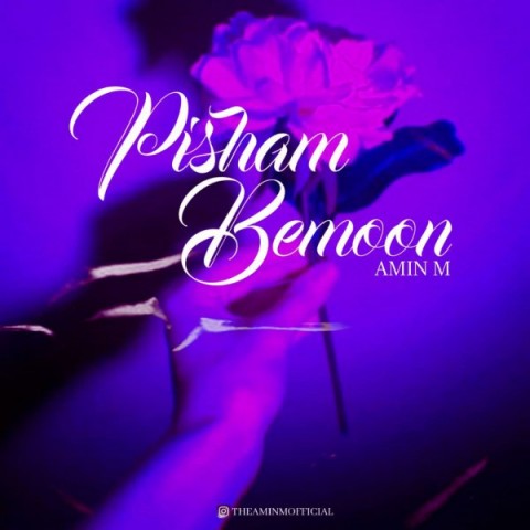 دانلود آهنگ پیشم بمون از امین ام