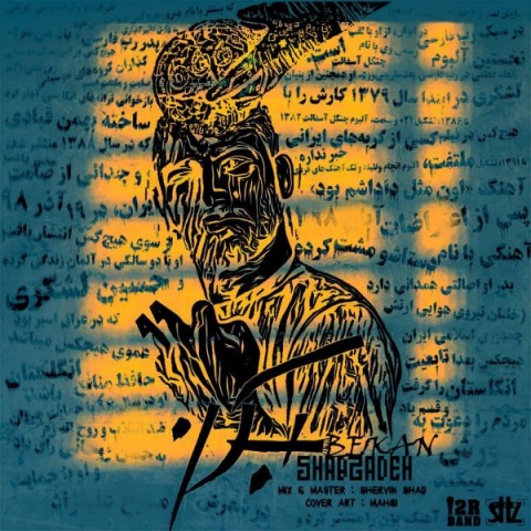 دانلود آهنگ بکن از شبزده