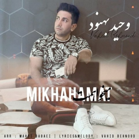 دانلود آهنگ میخواهمت از وحید بهنود