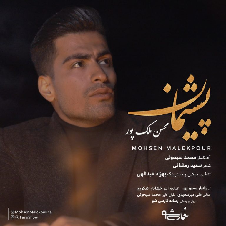 دانلود آهنگ پشیمان از محسن ملک پور