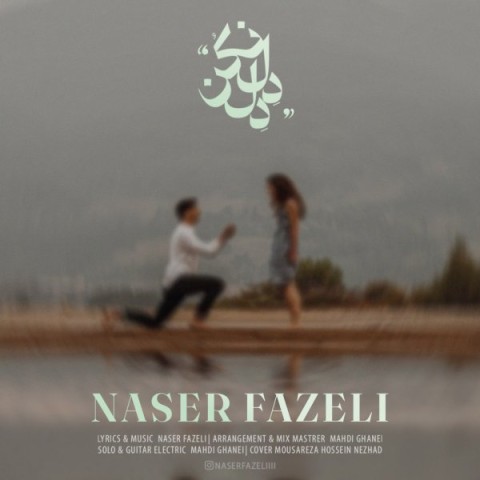 دانلود آهنگ دل دل نکن از ناصر فاضلی