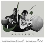 دانلود آهنگ نهال از بی کلام مجید ر و مه زاد مهجور