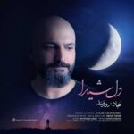 دانلود آهنگ دل شیدا از سجاد زورمند