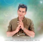 دانلود آهنگ ساه بدل از احمد ملازهی
