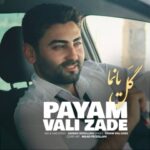 دانلود آهنگ گل یانما از پیام ولیزاده