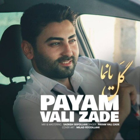 دانلود آهنگ گل یانما از پیام ولیزاده