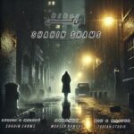 دانلود آهنگ بی کس از شاهین شمس