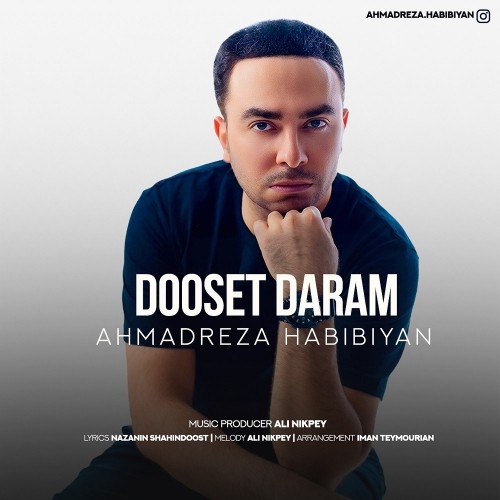 دانلود آهنگ دوست دارم از احمدرضا حبیبیان