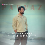 دانلود آهنگ پرواز از محسن فمی