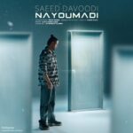 دانلود آهنگ نیومدی از سعید داوودی