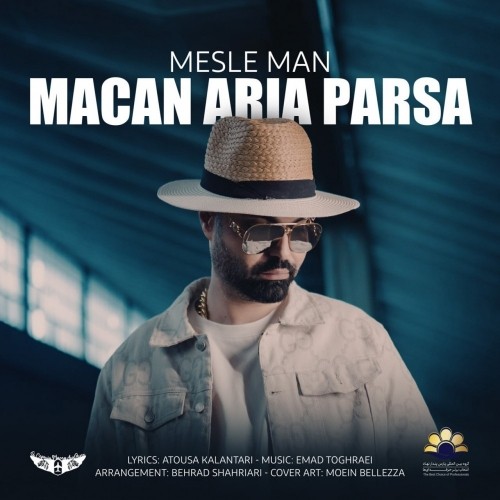 دانلود آهنگ مثل من از ماکان آریا پارسا