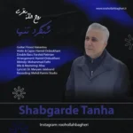 دانلود آهنگ شبگرد تنها از روح الله باقری