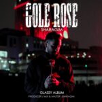 دانلود آهنگ گل رز از شراگیم