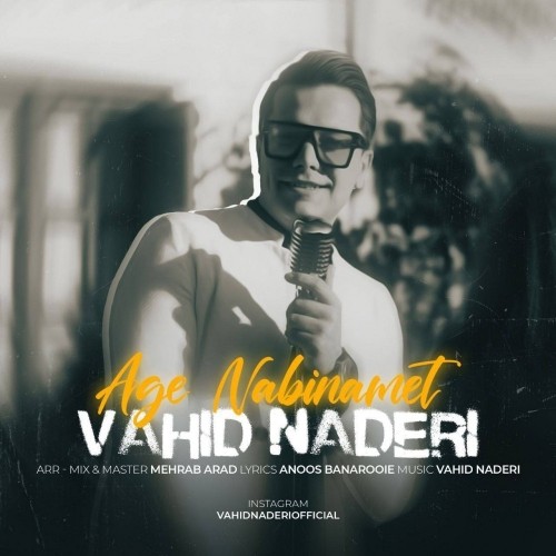 دانلود آهنگ اگه نبینمت از وحید نادری