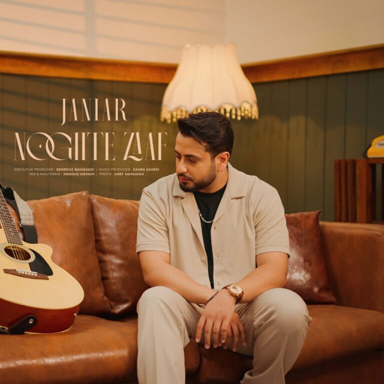 دانلود آهنگ نقطه ضعف از جانیار