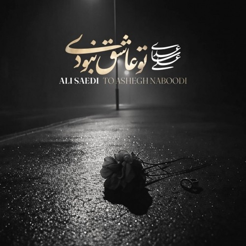 دانلود آهنگ تو عاشق نبودی از علی ساعدی