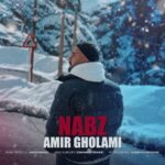 دانلود آهنگ نبض از امیر غلامی