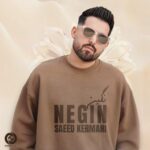 دانلود آهنگ نگین از سعید کرمانی