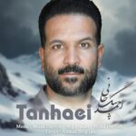 دانلود آهنگ تنهایی از احمد بیگجانی