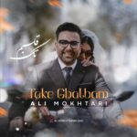 دانلود آهنگ تک قلبم از علی مختاری
