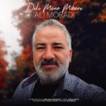 دانلود آهنگ دل منو میبره از علی مرادی
