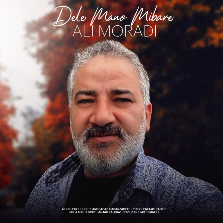 دانلود آهنگ دل منو میبره از علی مرادی