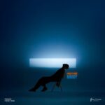 دانلود آهنگ مودی از مهیار