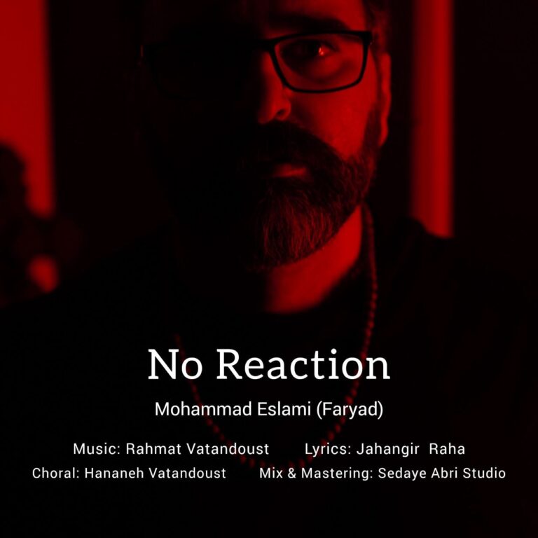دانلود آهنگ بی واکنش از محمد اسلامی فریاد