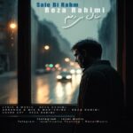 دانلود آهنگ سال بی رحم از رضا رحیمی