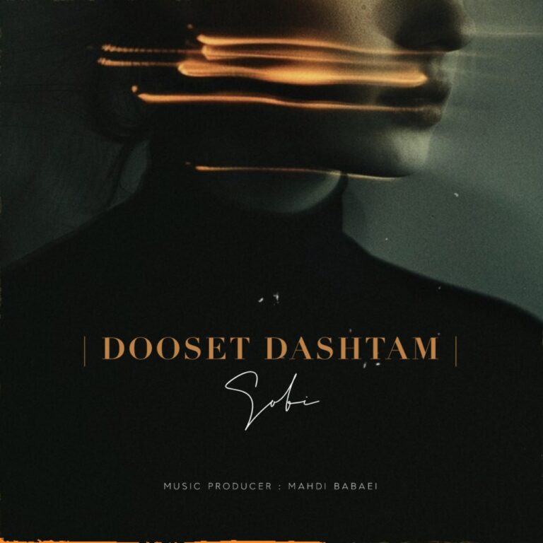 دانلود آهنگ دوست داشتم از سبی