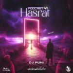 دانلود آهنگ حسرت ۴۱ از دیجی پانی