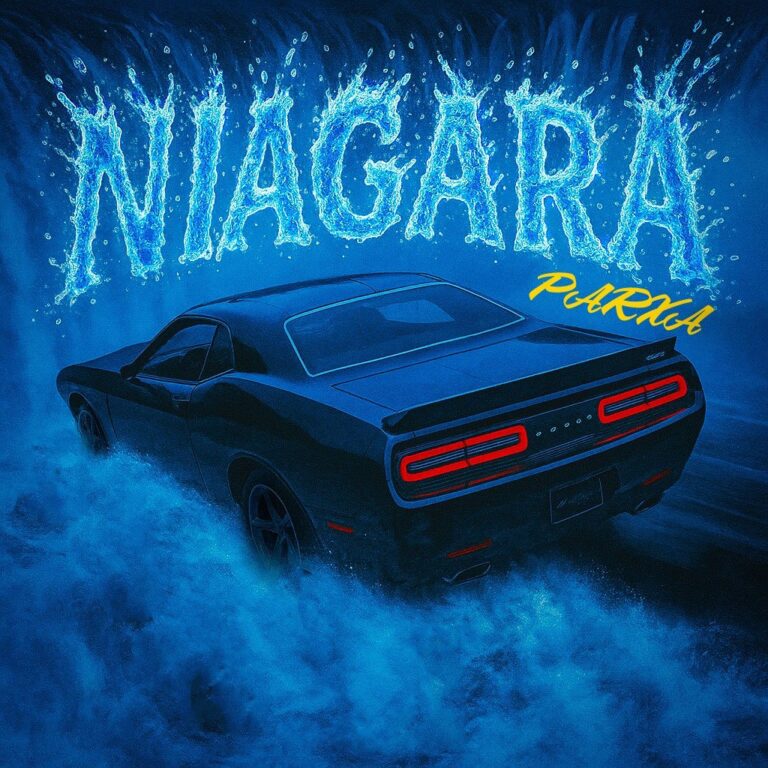 دانلود آهنگ نیاگارا از پارسا