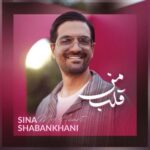 دانلود آهنگ قلب من از سینا شعبانخانی