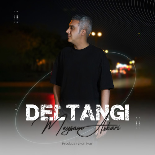 دانلود آهنگ دلتنگی از میثم عسکری