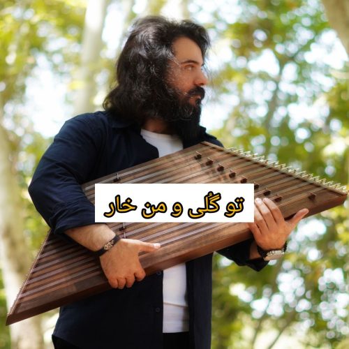 دانلود آهنگ تو گلی و من خار عزیز از پوریا مافی دانلود آهنگ تو گلی و من خار عزیز از پوریا مافی