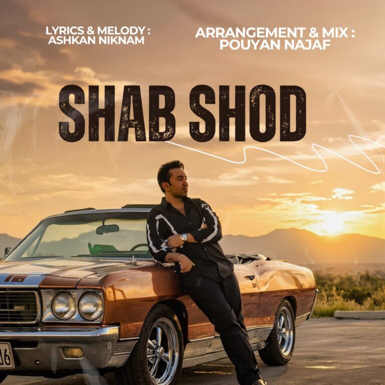 دانلود آهنگ شب شد از پویان نجف