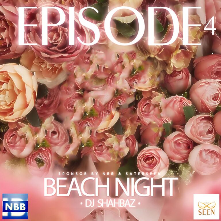 دانلود آهنگ Beach Night قسمت چهارم از دیجی شهباز