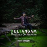 دانلود آهنگ دلتنگم از مجتبی قاسمیان