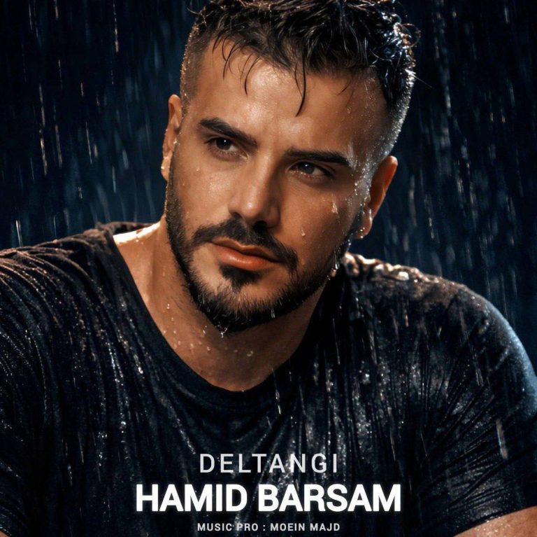 دانلود آهنگ دلتنگی از حمید برسام