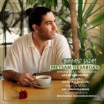 دانلود آهنگ بهار دلم از میثم حسابدان