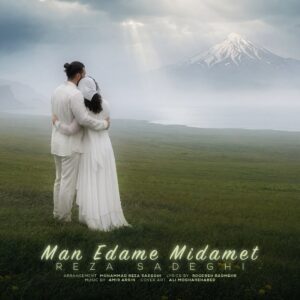 دانلود آهنگ من ادامه میدمت از رضا صادقی