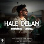دانلود آهنگ حال دلم از محمد شاددل