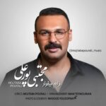 دانلود آهنگ دلم میخواد از مجتبی پورعلی